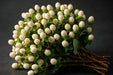 Next Day Delivery - Hypericum Coco Uno White 60CM 18BU/BX