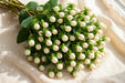 Next Day Delivery - Hypericum Coco Uno White 70CM 6BU/BX