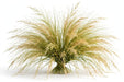Explosion Grass fresh-cut ornamental grass with airy feathery plumes