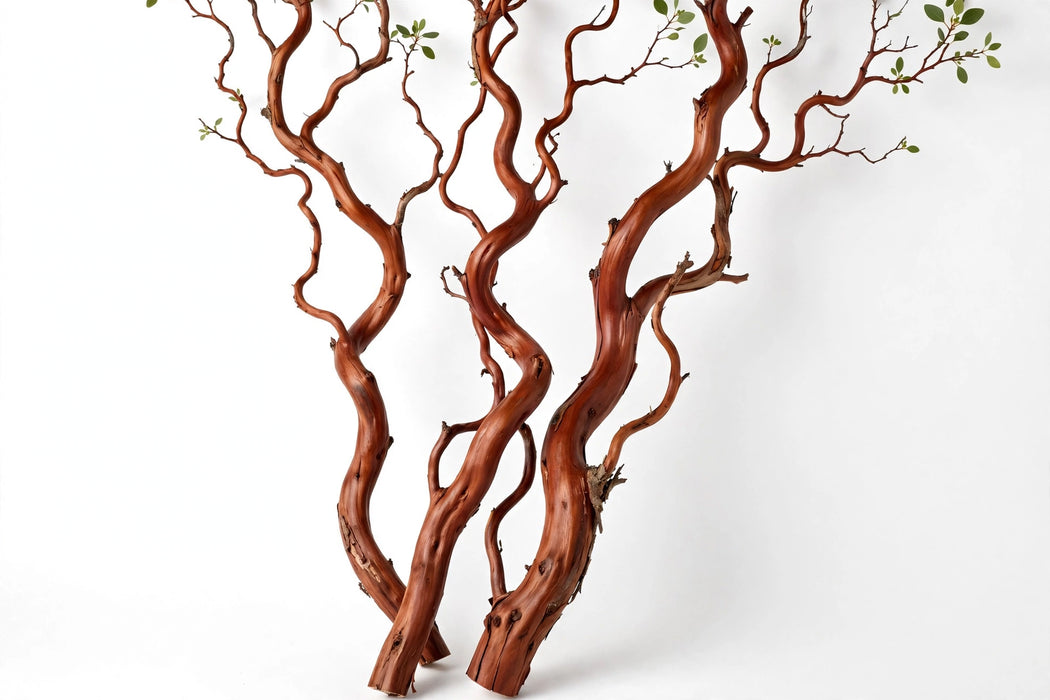 Manzanita Branches with smooth mahogany-red bark and sculptural twisting form