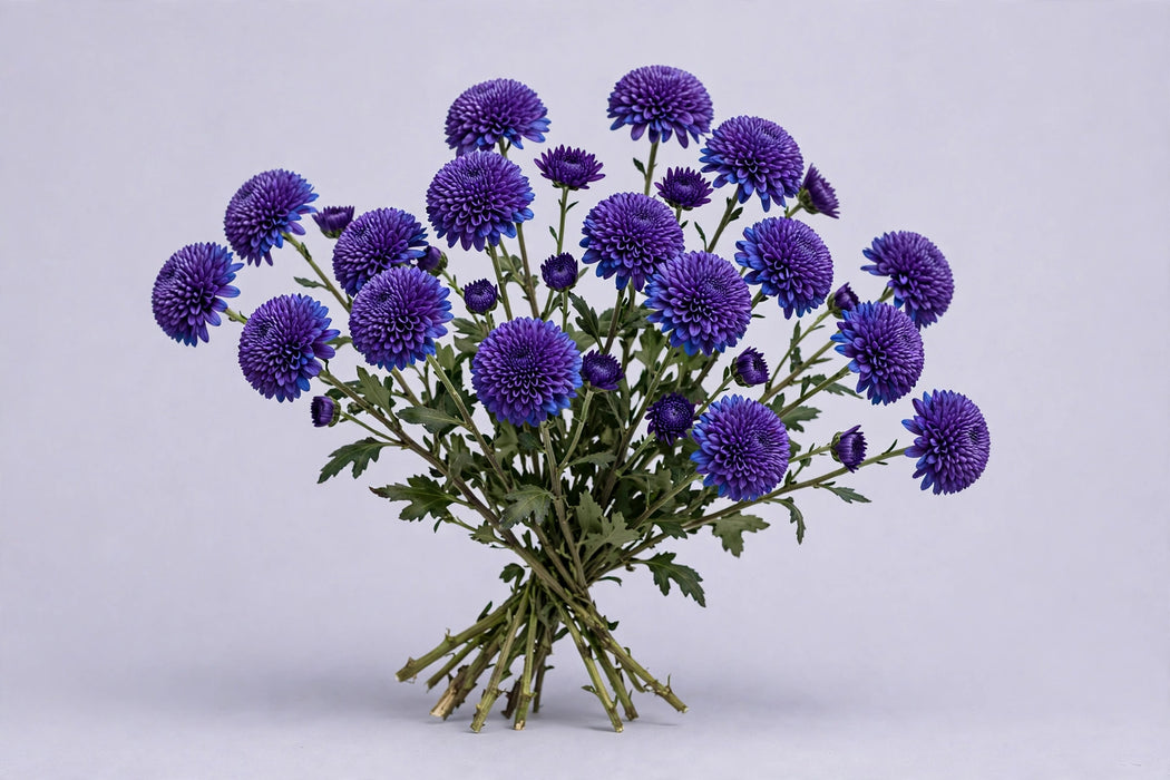 Next Day Delivery - POM NOVELTY BLUE OCEAN PURPLE SAPPHIRE 60cm 7st - Purple - 18 Stems [LIMITED]