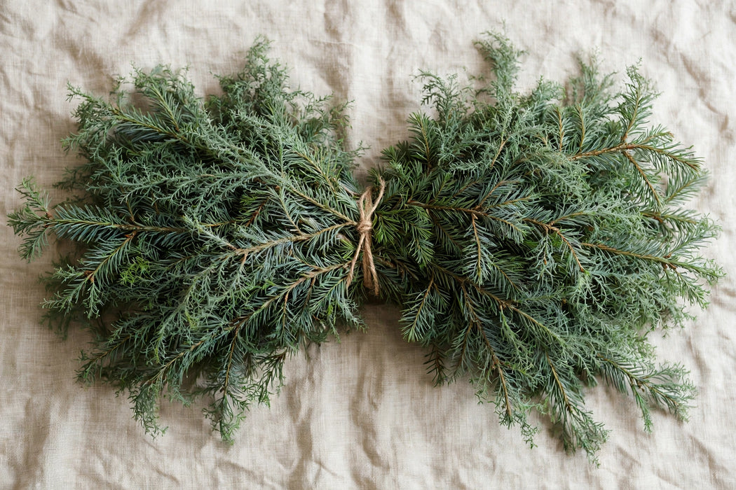 Next Day Delivery - DOUGLAS FIR BOUGHS - Green - 25 lb