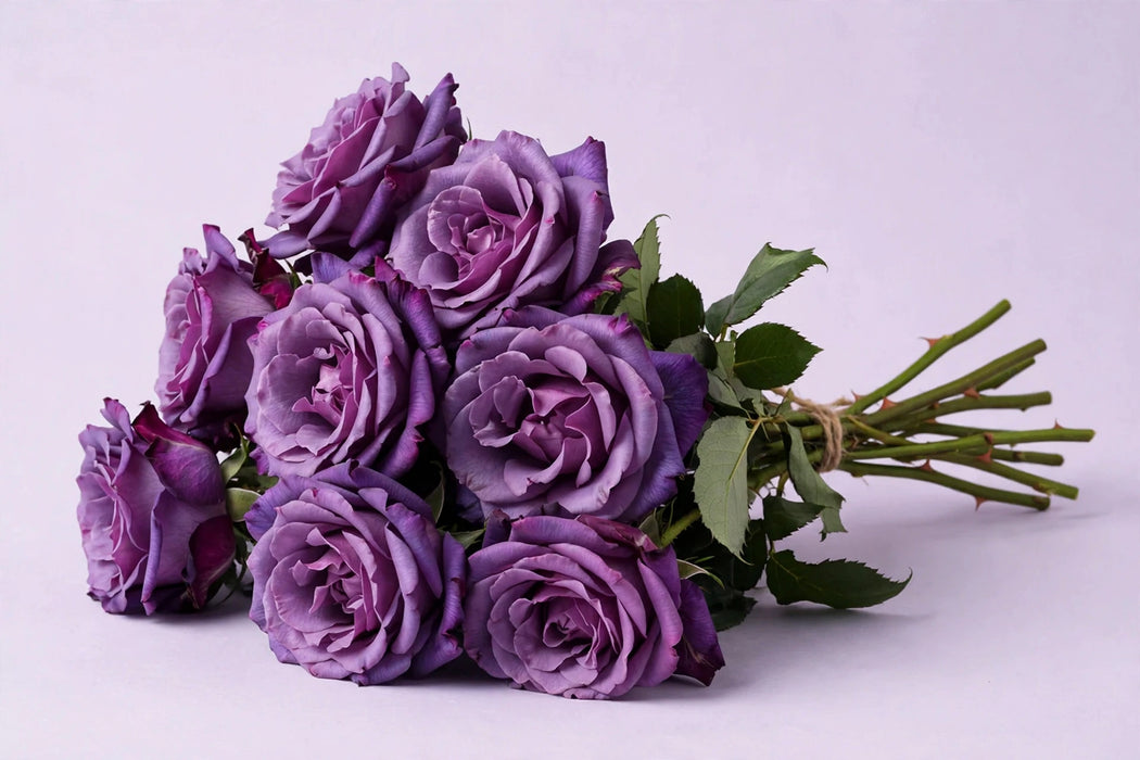 Next Day Delivery - ROSE BLUEBERRY 50cm 5cm 25st - Purple - 100 Stems [LIMITED]