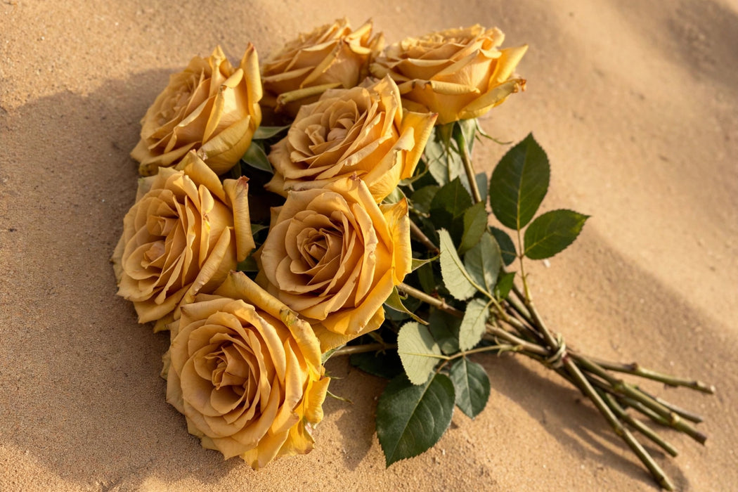 Next Day Delivery - ROSE COMBO MUSTARD 40cm 6cm 25st - Bicolor Yellow - 100 Stems [LIMITED]