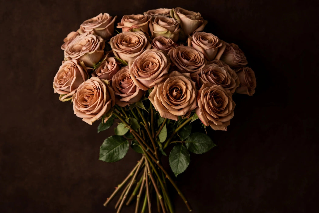 Next Day Delivery - ROSE MOCCA 50cm 6cm 12st - Brown - 48 Stems [LIMITED]
