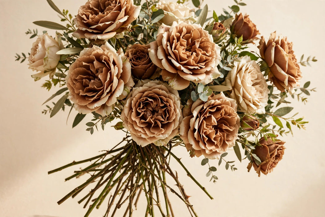 Next Day Delivery - ROSE MOCCACHINO 50cm 5cm 25st - Brown - 100 Stems [LIMITED]