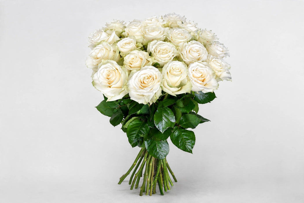 Next Day Delivery - ROSE MONDIAL 60cm 6,5cm 25st - White - 100 Stems [LIMITED]