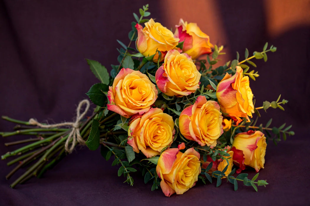Next Day Delivery - ROSE SUNSET EXPRESSION 60cm 5,5cm 25st - Bicolor Yellow - 100 Stems [LIMITED]