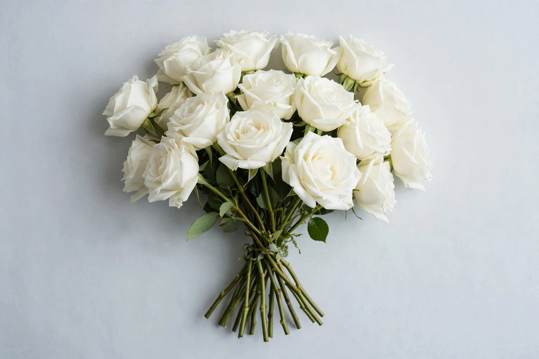 Next Day Delivery - ROSE TIBET! 60cm 6cm 25st - White - 100 Stems [LIMITED]