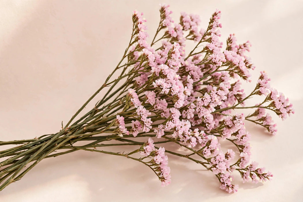 Next Day Delivery - STATICE LIGHT PINK 50cm 10st - Light Pink - 120 Stems [LIMITED]