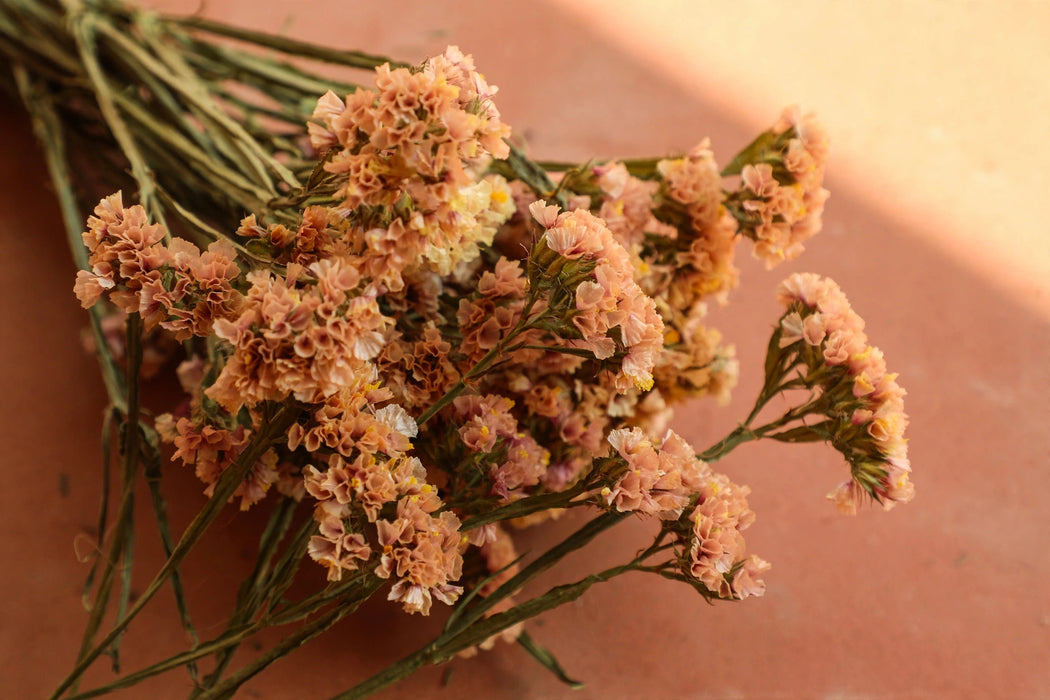 Next Day Delivery - STATICE LUCI APRICOT 60cm 10st - Peach - 120 Stems [LIMITED]