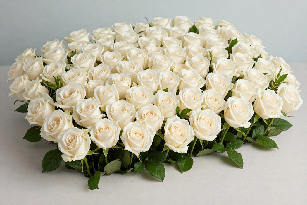 Roses Tibet 50cm 100ST/BX