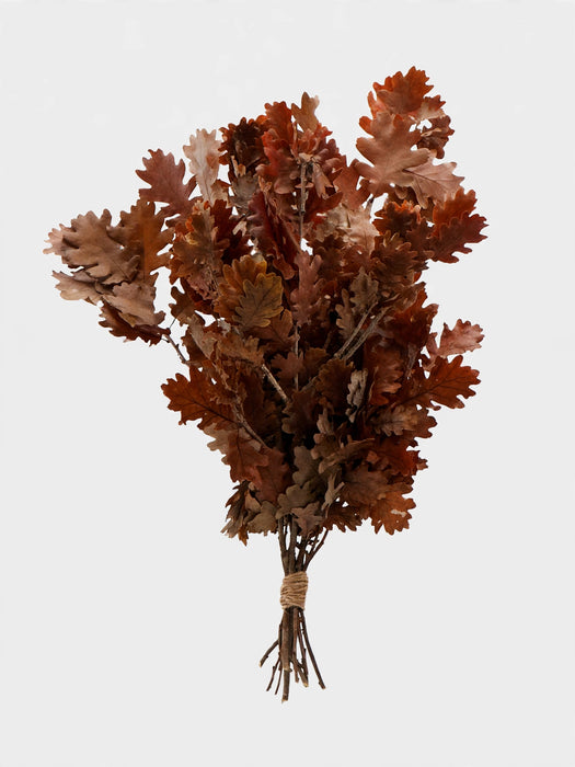 Italian Preserved - Oakleaves Brown - 20 Bunches / Box (Mix & Match)
