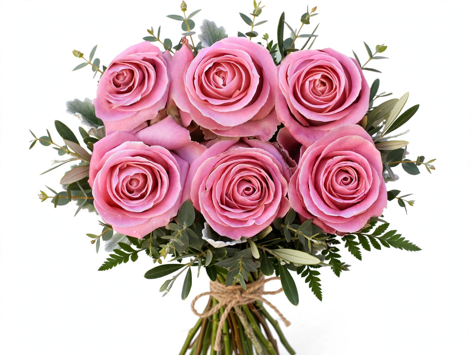 Roses Hermosa 50CM 100ST/BX