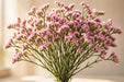 Next Day Delivery - Statice Pink 70CM 12BU/BX