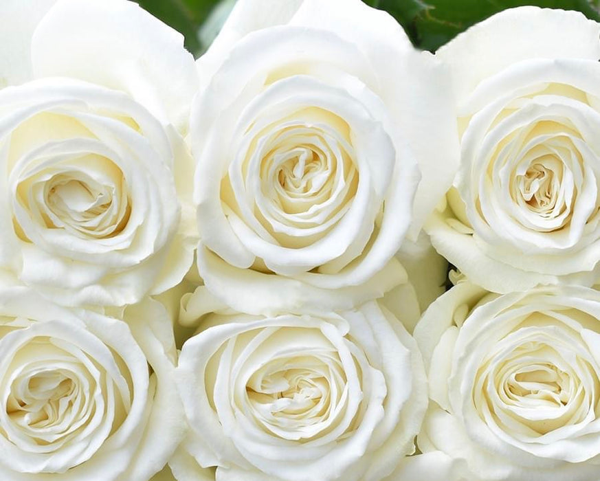 One-Day Delivery - Playa Blanca Rose (50 STEMS)