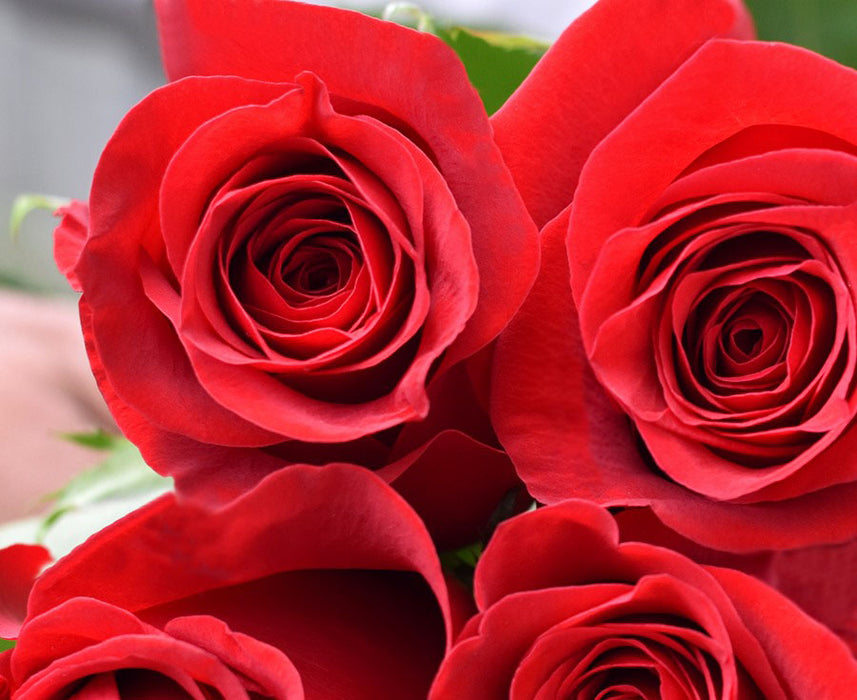 *SALE* One-Day Delivery - PREMIUM Red Rose (100 STEMS)