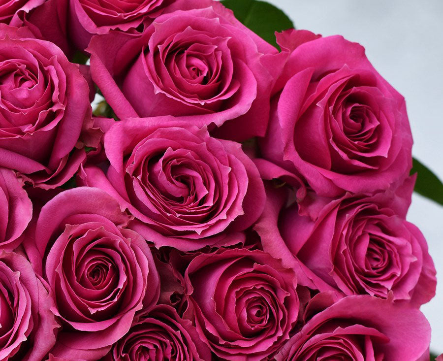 PurpleIrishka_a0b1c0de-f69d-