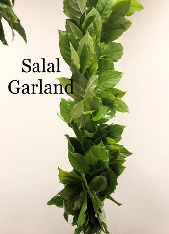 Salal Garland - 5' Length