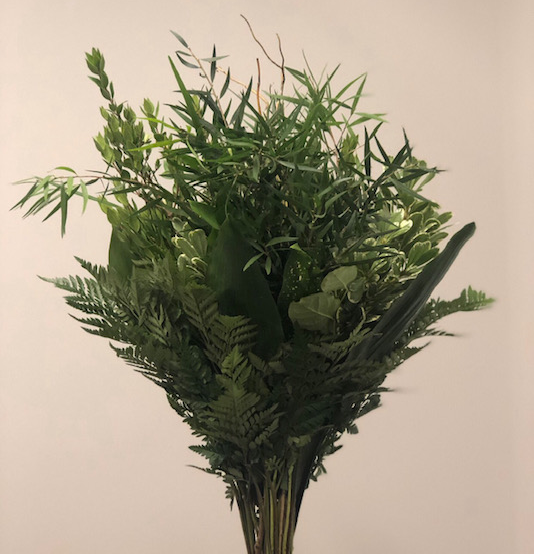 Eucalyptus bunch – Growers Direct Flowers