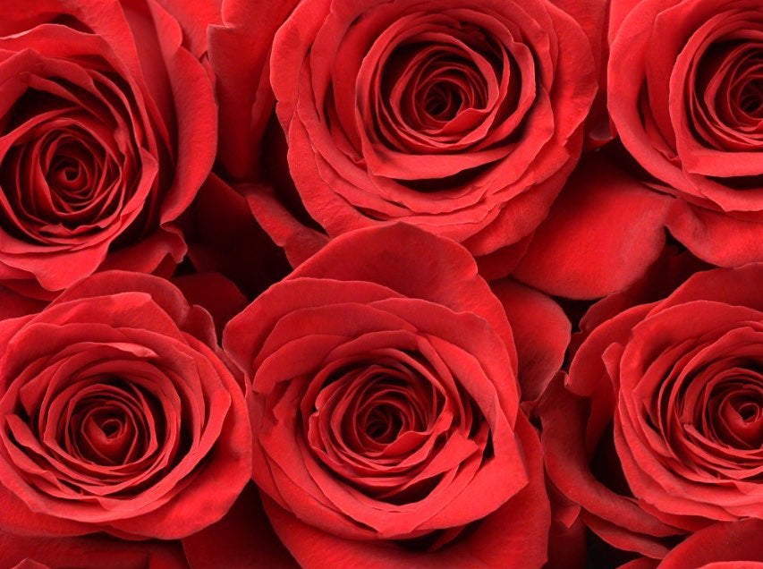 *SALE* One-Day Delivery - Valentine’s Red Roses (100 STEMS)