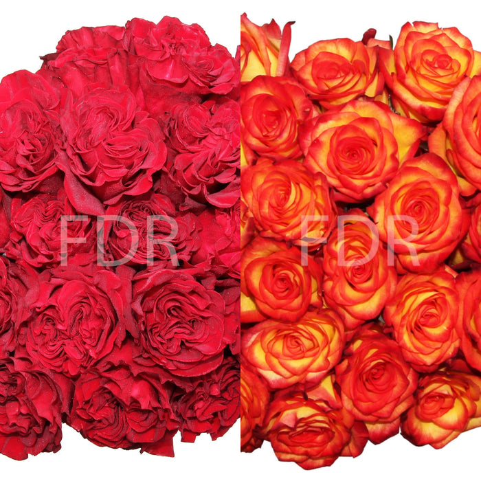 One-Day Delivery - Hearts (50 STEMS) / High and Magic (50 STEMS)