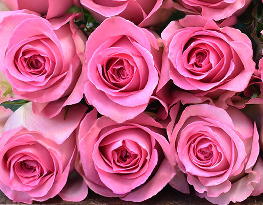 *SALE* One-Day Delivery - Sweet Unique Rose (100 STEMS)